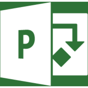 SOFTWARE MICROSOFT PROJECT STANDARD 2021 / LICENCIA PERPETUA / DG7GMGF0D7D8-0001